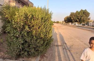فيلا 630م² للبيع في مدينة بدر